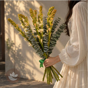 Ivory Tuberose Whisper — additional view