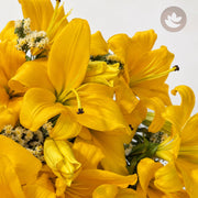 Golden Lily Radiance — additional view