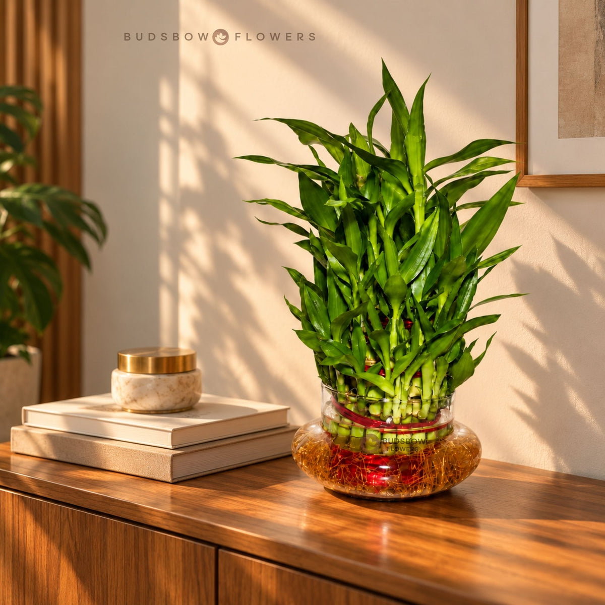 Three-Layer Lucky Bamboo — view 1