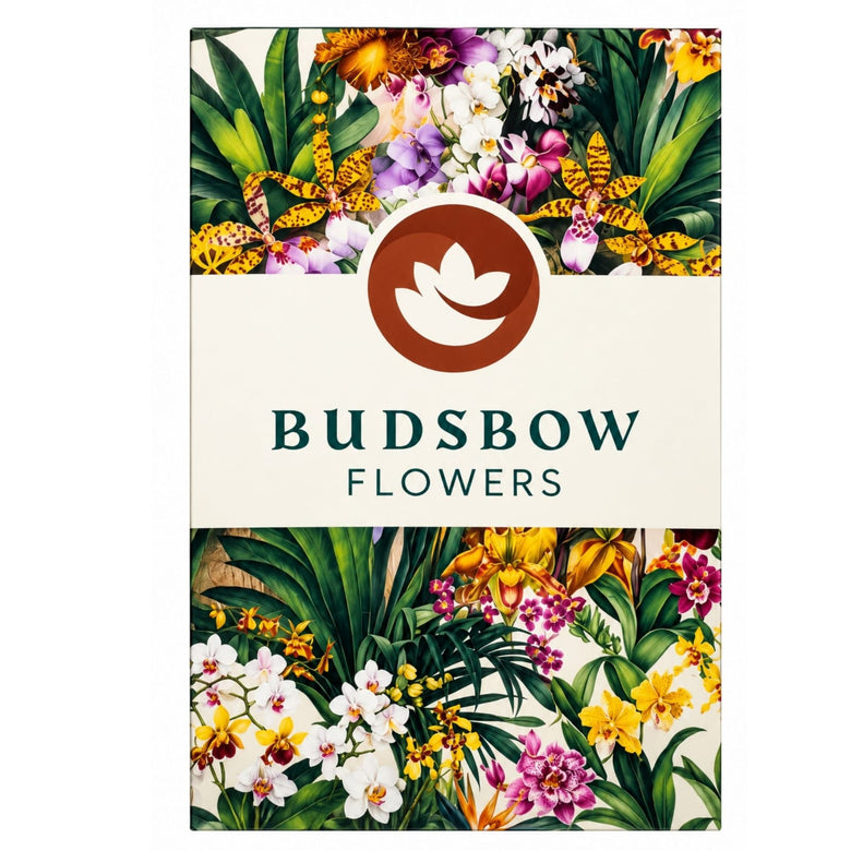 Budsbow message card 1