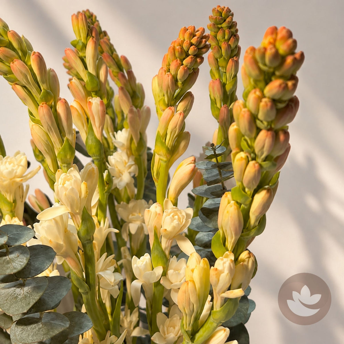 Moonlit Tuberose Vase — additional view