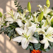 Ivory Lily Grandeur — additional view