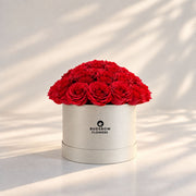 Classic Rose Box – Medium, Red roses in Cream White box