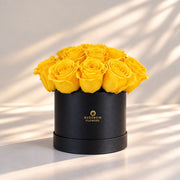Classic Rose Box – Small, Yellow roses in Black box