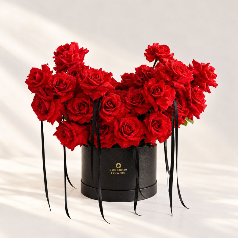 Noir Scarlet Rose Box