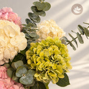 Hydrangea Harmony Box