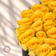 Golden Joy Rose Box
