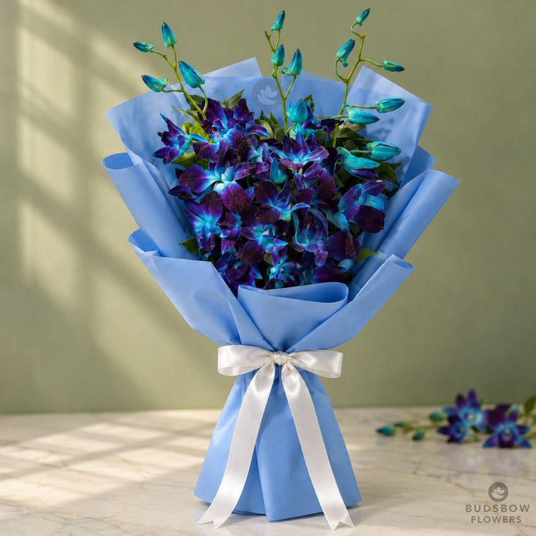 Sapphire Orchid Elegance
