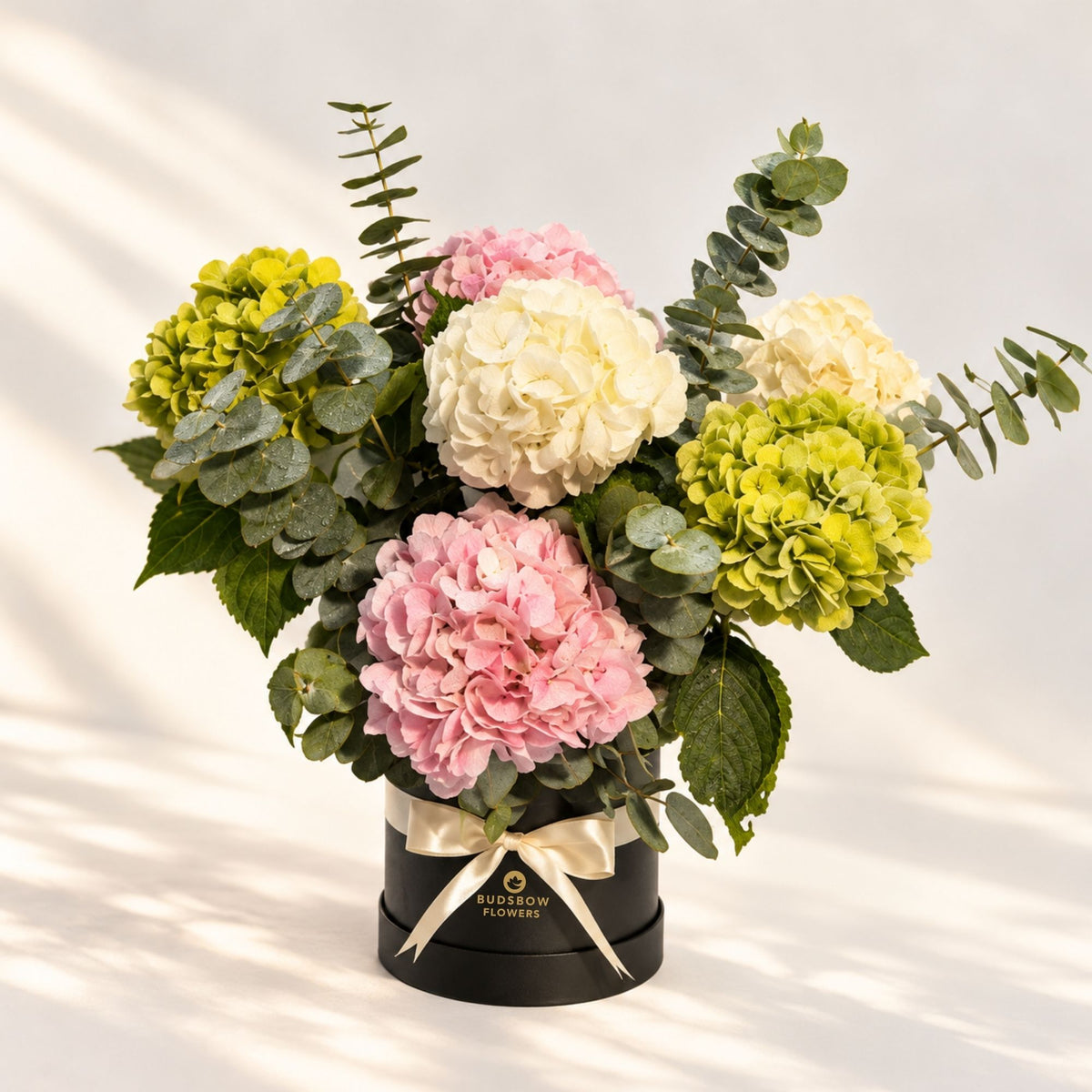 Hydrangea Harmony Box
