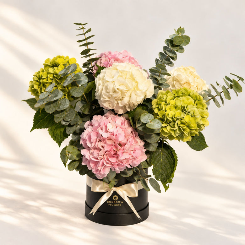 Hydrangea Harmony Box