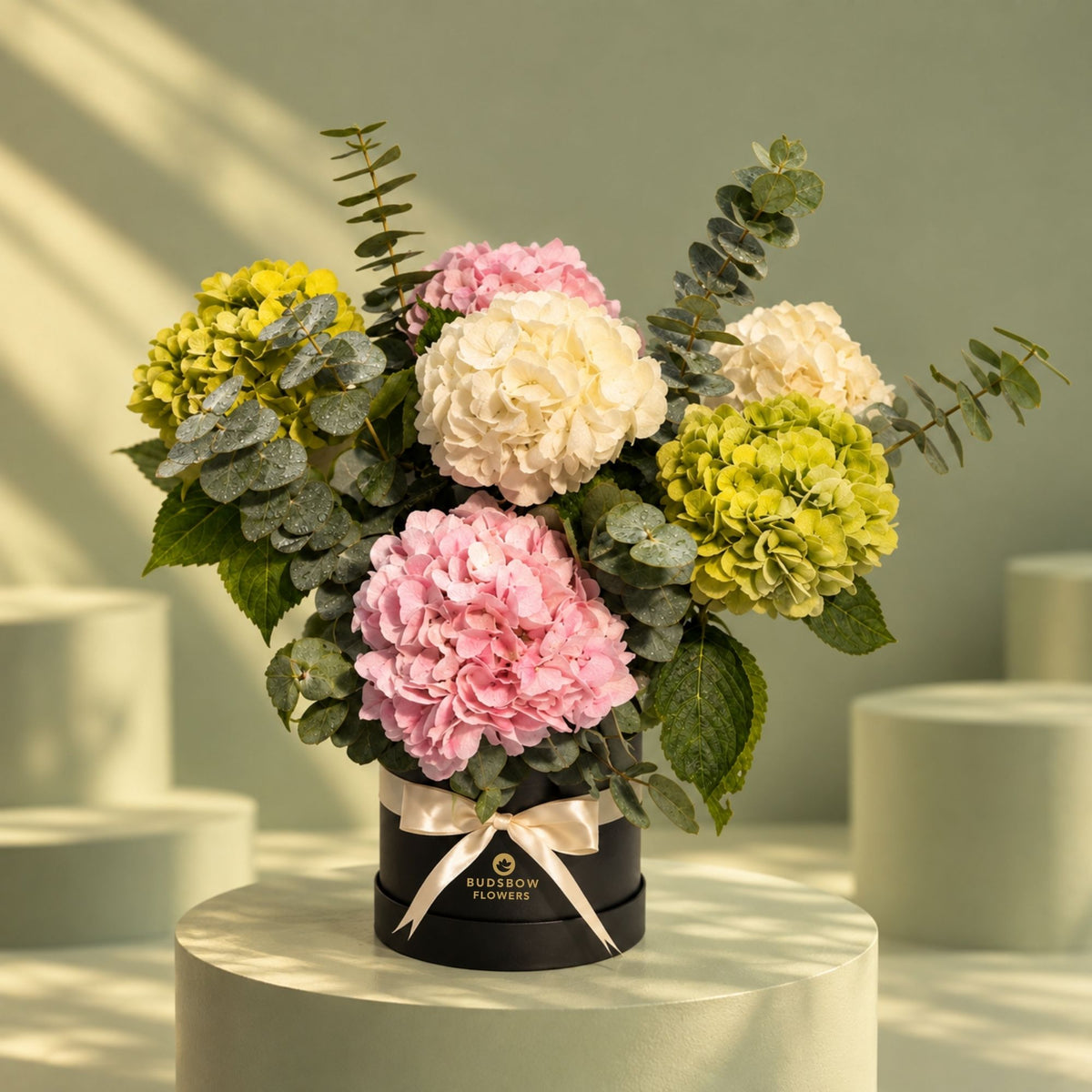 Hydrangea Harmony Box