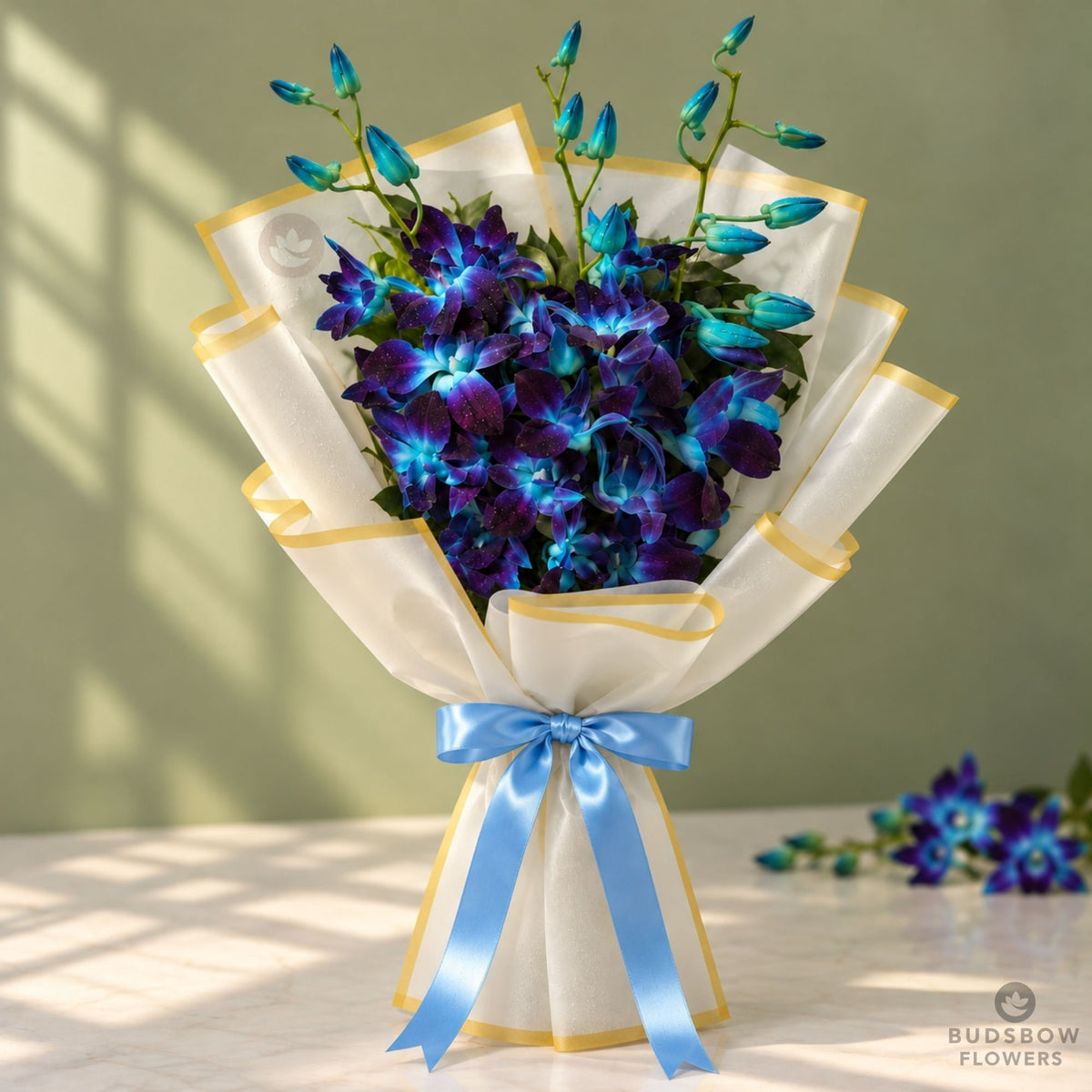 Sapphire Orchid Elegance